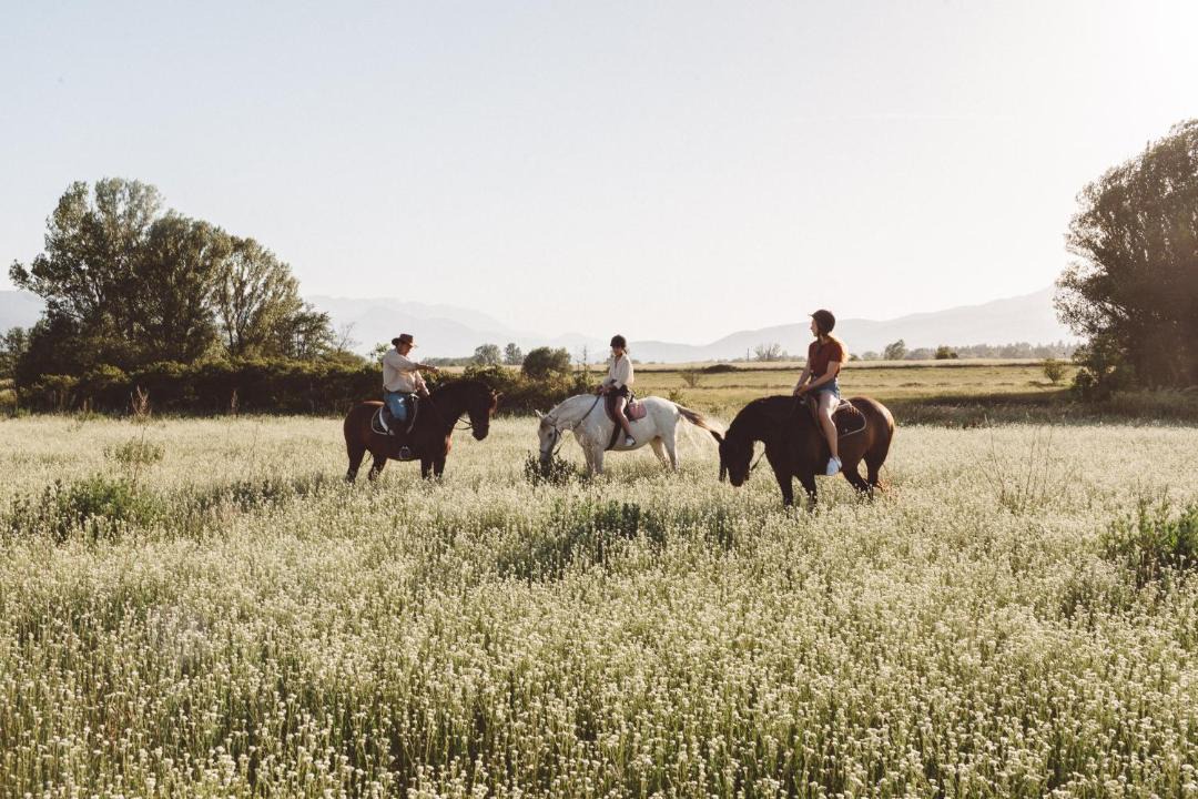 Photo of Others in Puigcerda