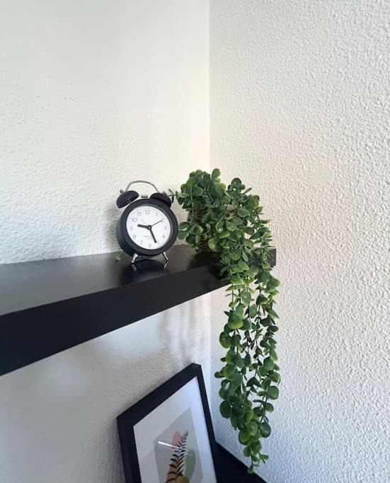 Photo of Others in Vauban Esquermes