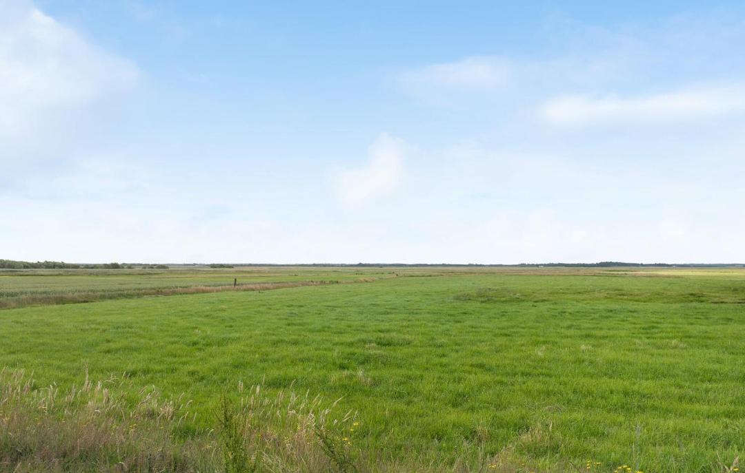 Photo of Others in Janderup Vestj