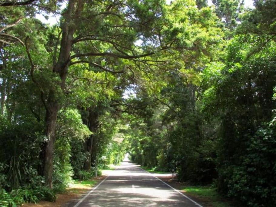Photo of Outdoor in Te Horo