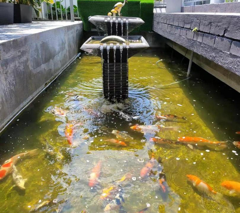 Photo of Others in Larut