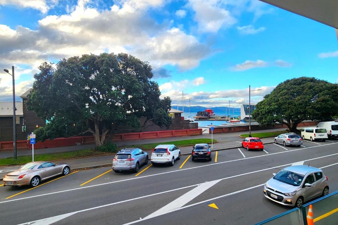 Photo of Others in Oriental Bay