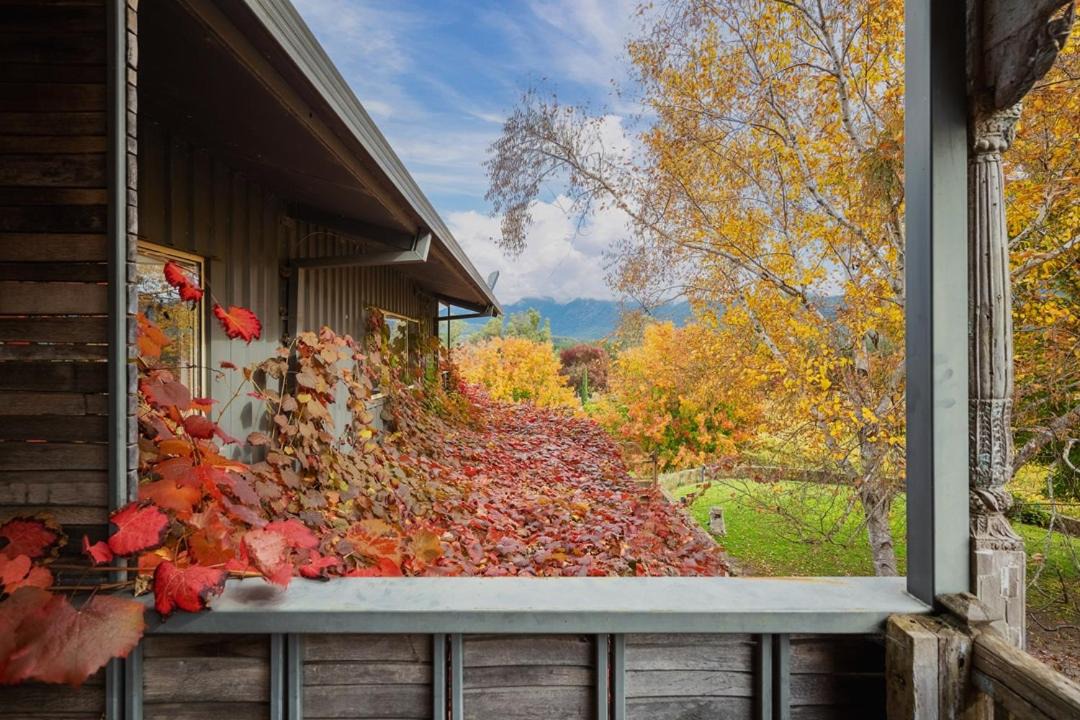 Photo of Others in Porepunkah