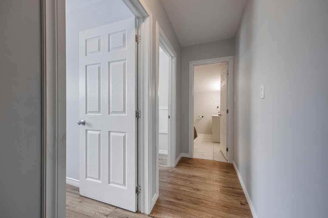 Photo of Others in Kingston