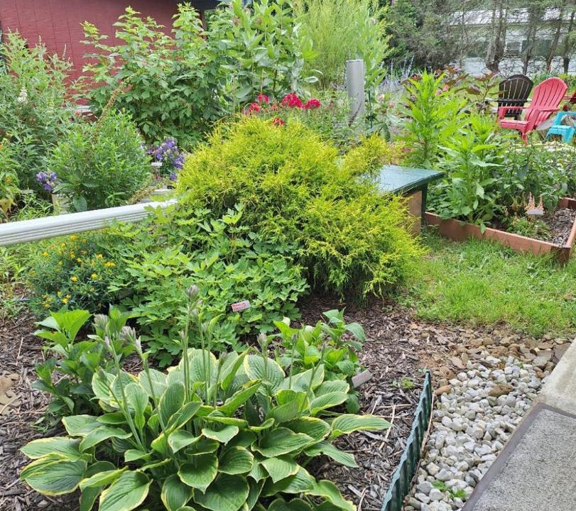 Photo of Others in Tiona