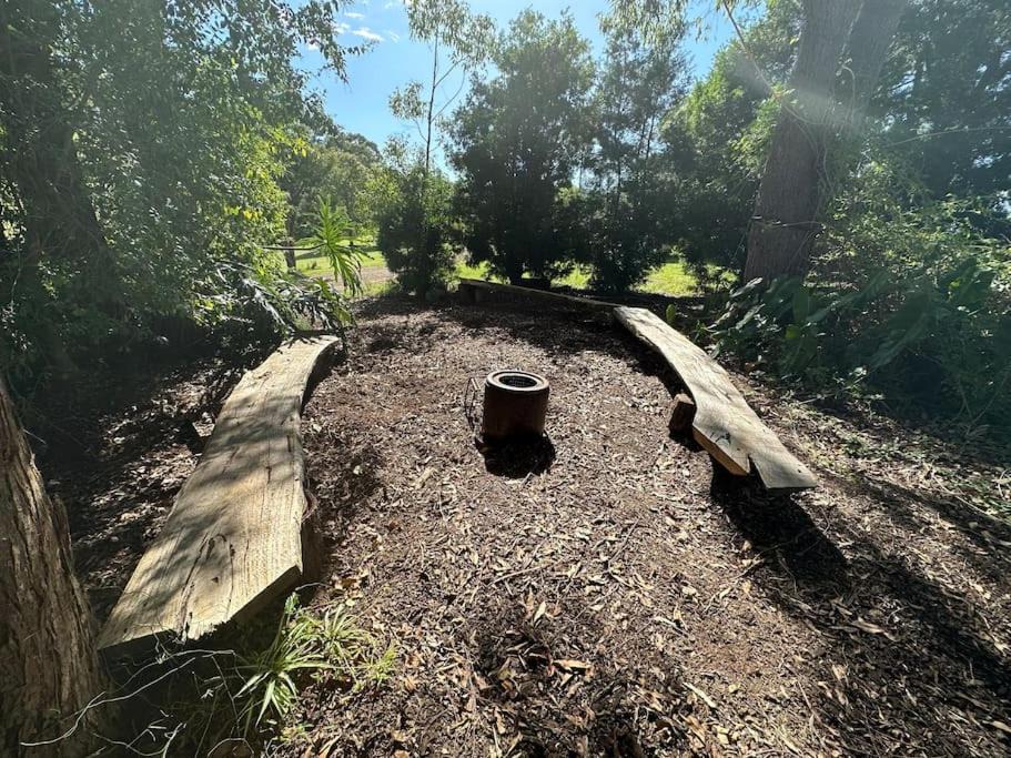 Photo of Others in Possum Brush