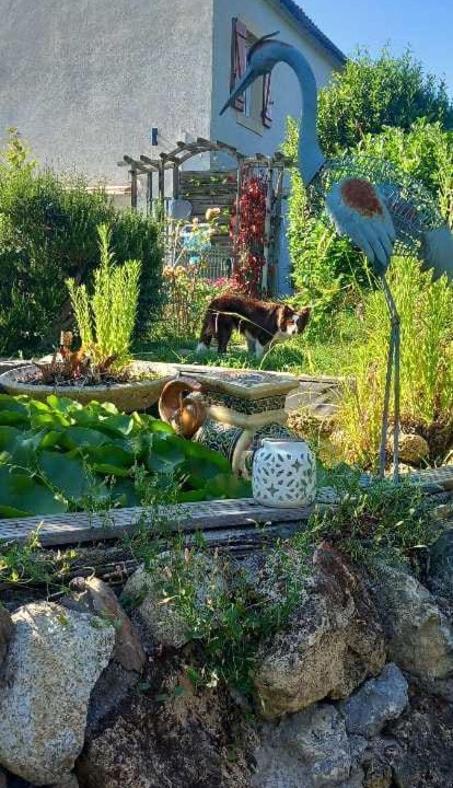 Photo of Others in Quillan