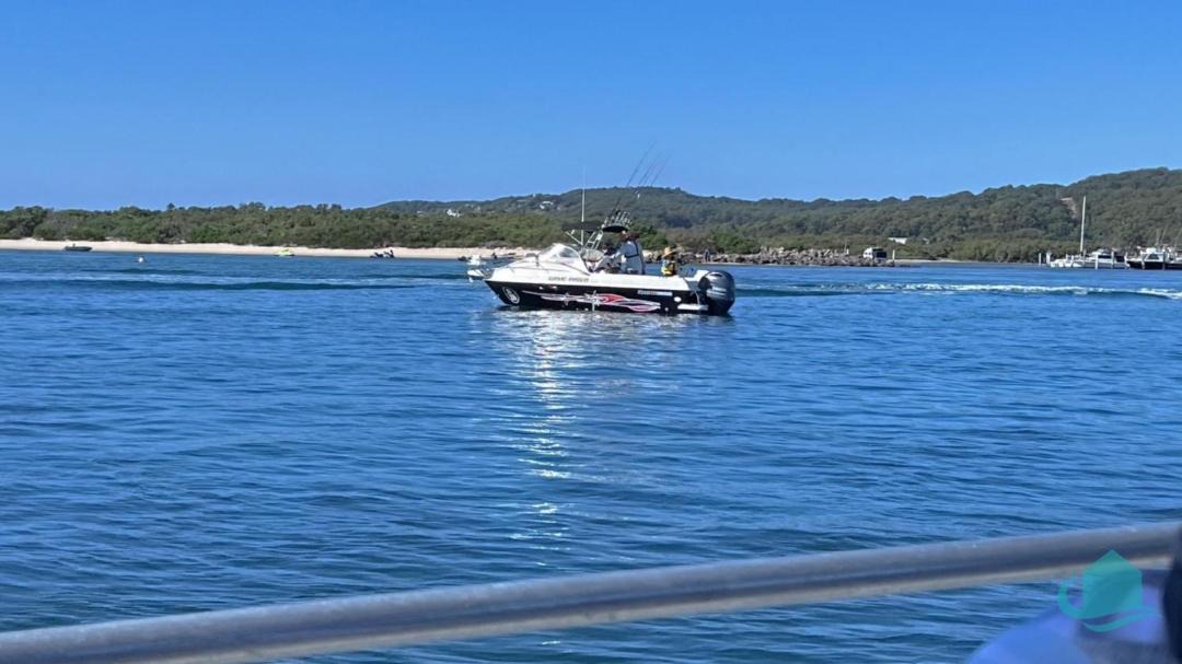 Photo of Others in Swansea