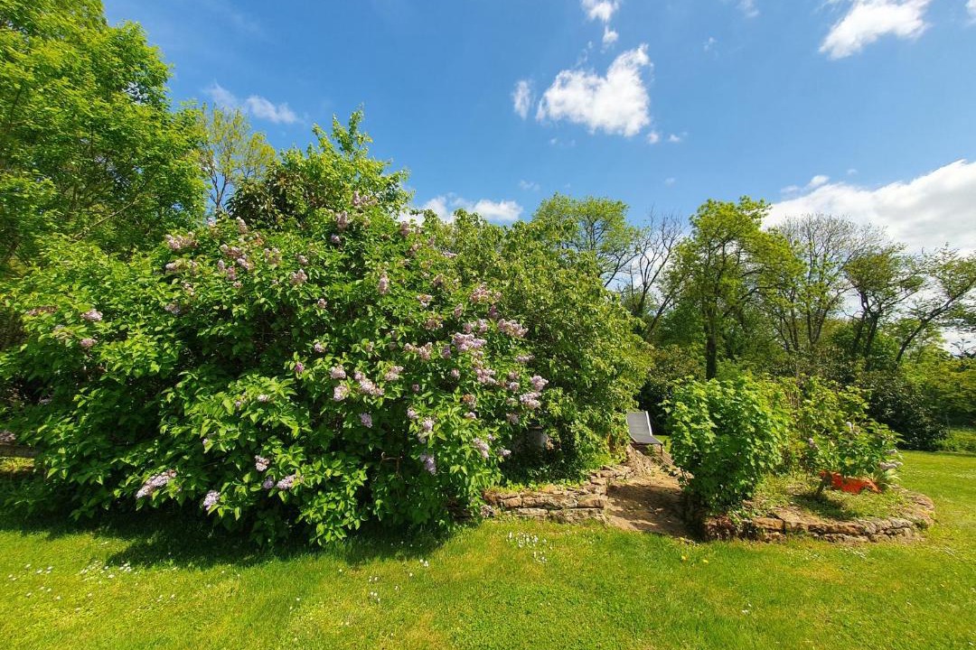 Photo of Others in Eguilly