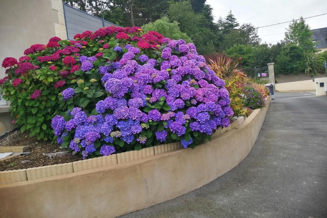 Photo of Others in Tredaniel