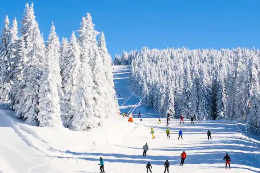 Photo of Others in Highland Lake