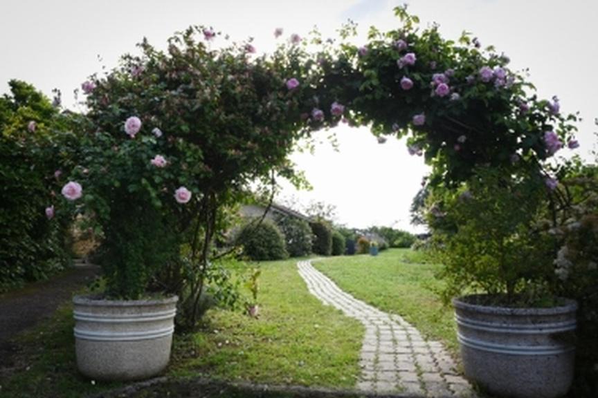 Photo of Others in Orignolles