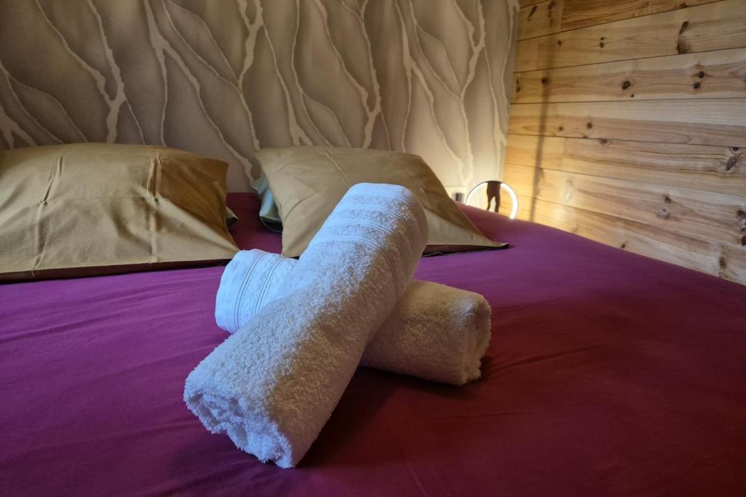 Photo of Bedroom in La Petite-Pierre