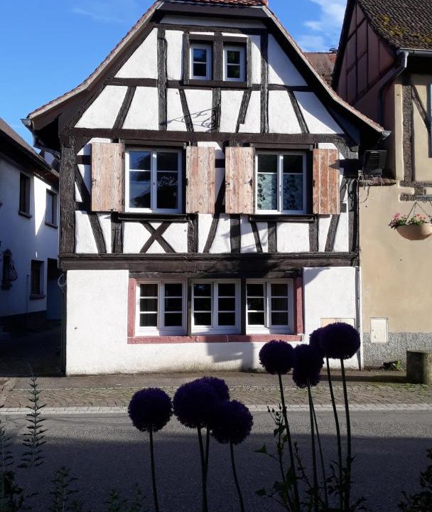 Photo of Others in Scherwiller