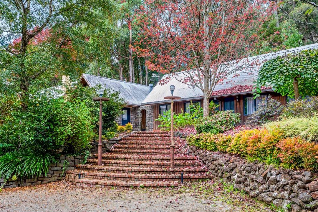 Photo of Others in Emerald