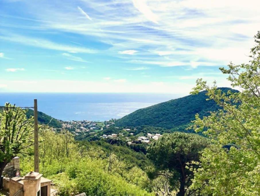 Photo of Others in Figarella