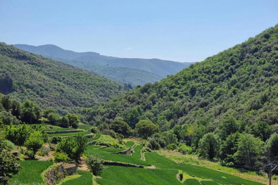 Photo of Others in Valleraugue