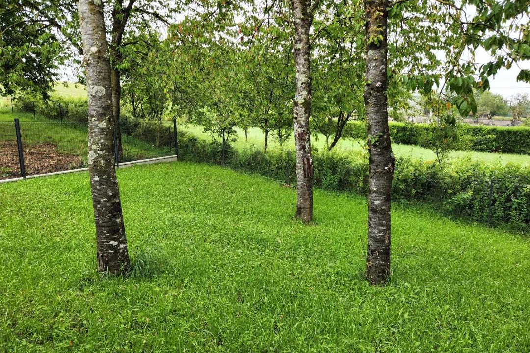 Photo of Others in Les Hauts-de-Chee