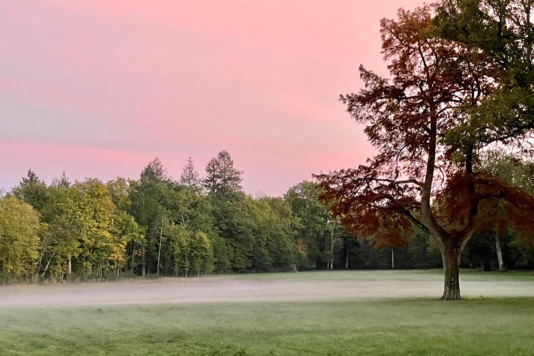 Photo of Others in Fontaines-en-Sologne