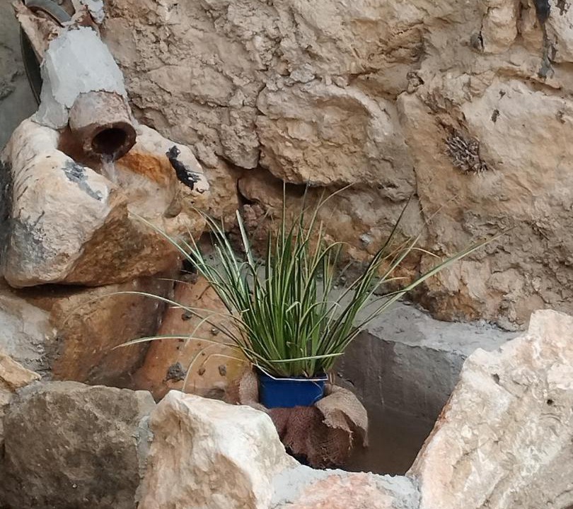 Photo of Others in Verfeuil