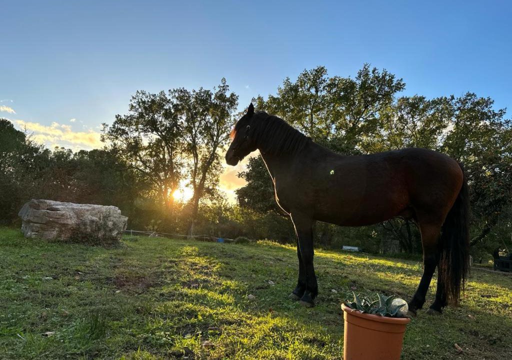 Photo of Others in Logrian-Florian