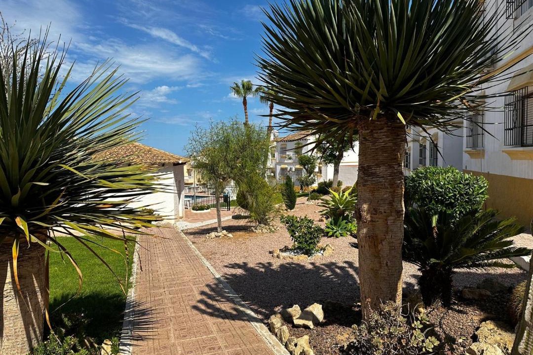 Photo of Others in San Miguel de Salinas