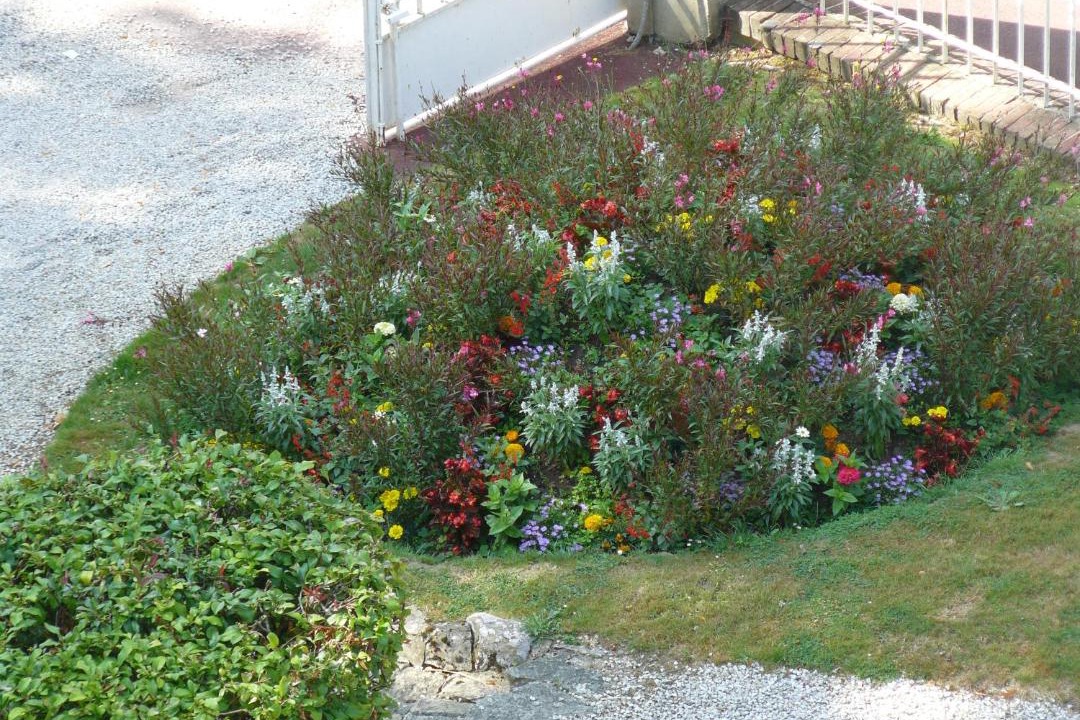 Photo of Others in Bagnoles-de-l'Orne