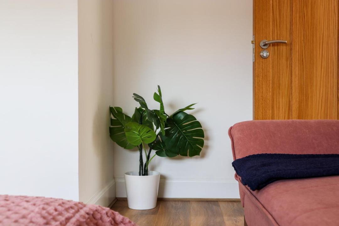 Photo of Others in Addison