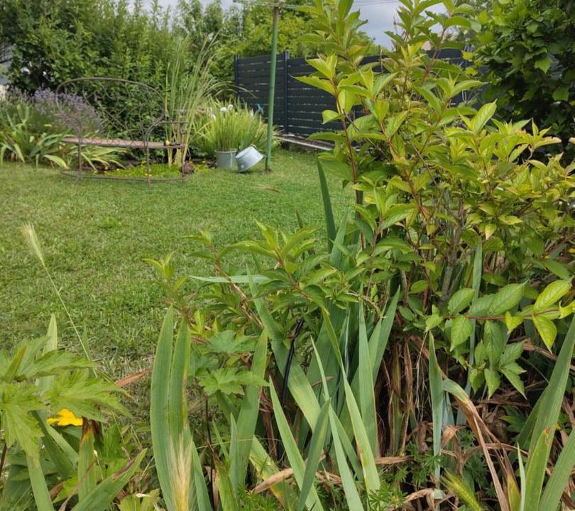 Photo of Others in Sergines