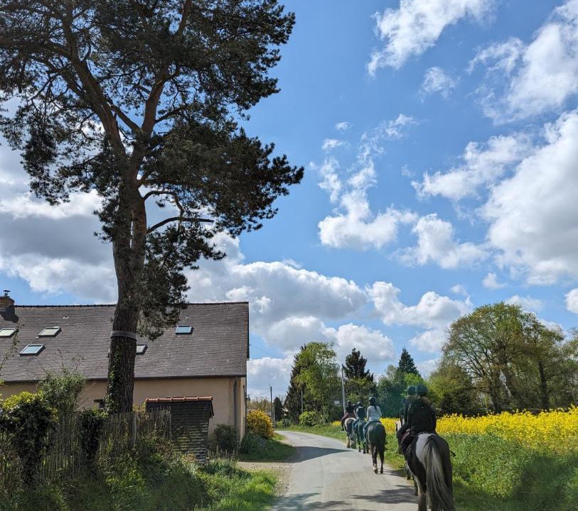 Photo of Others in Cardroc