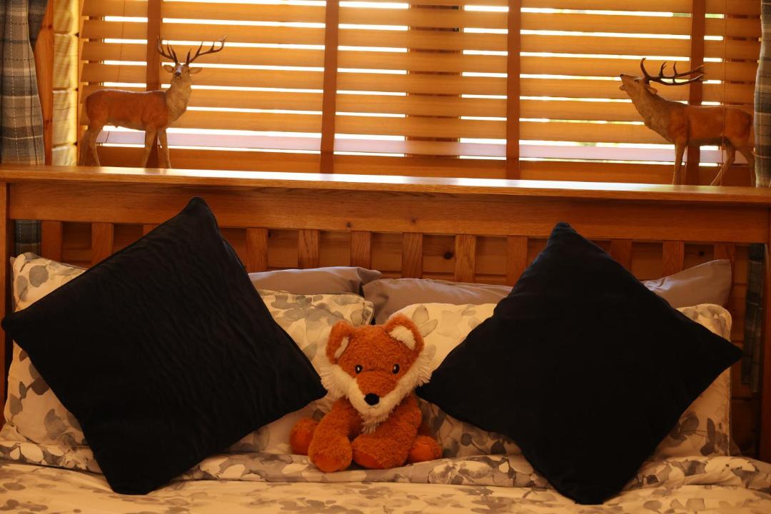 Photo of Bedroom in Telford