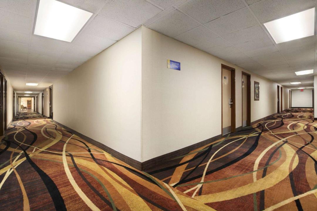 Photo of Others in Rome