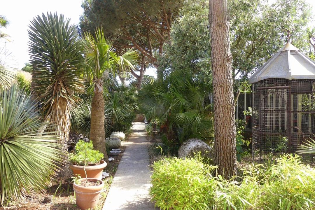 Photo of Others in Saint-Brevin-les-Pins