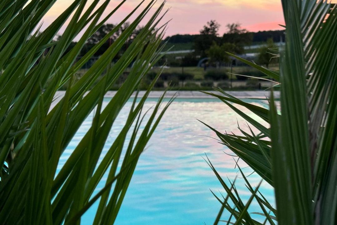 Photo of Others in Saint-Eutrope-de-Born