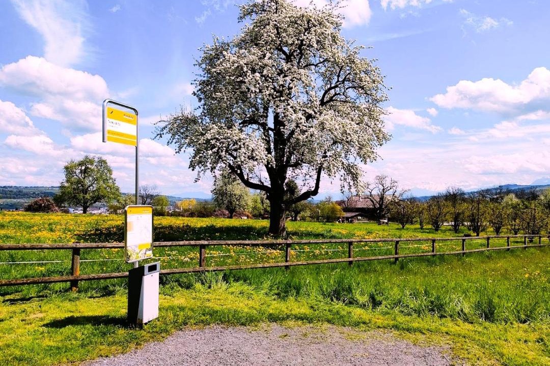 Photo of Others in Oberkirch