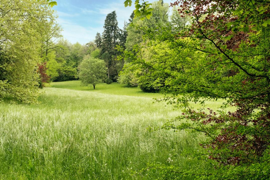 Photo of Others in Montferrand