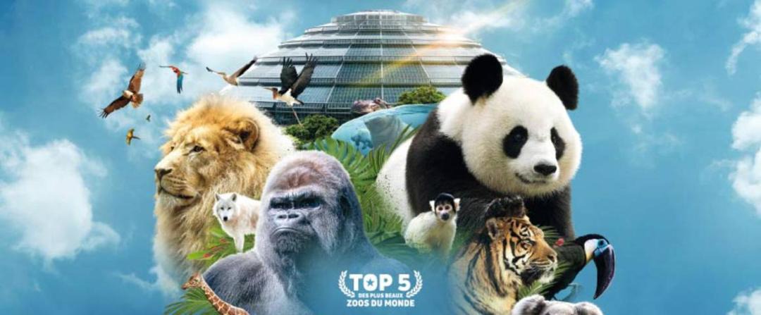 Photo of Others in Seigy