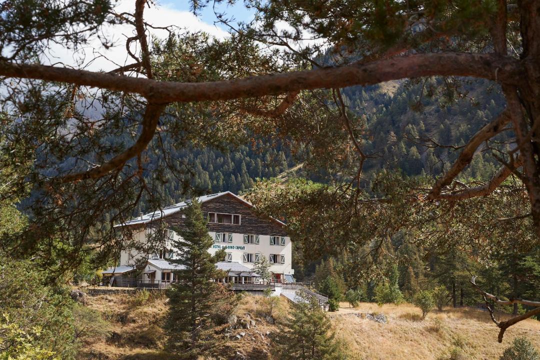 Photo of Others in Belvedere