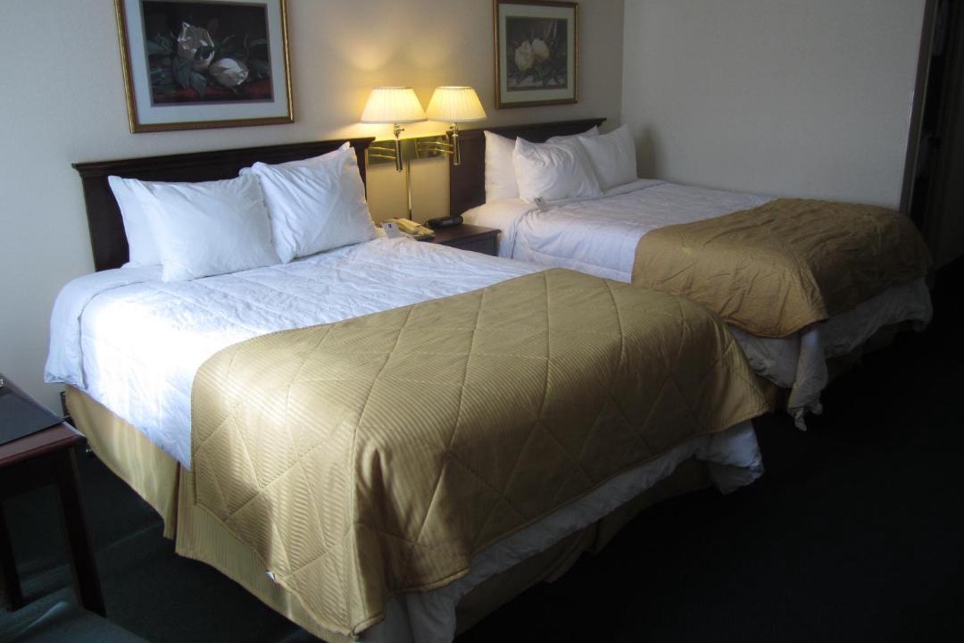 Photo of Others in Spackenkill