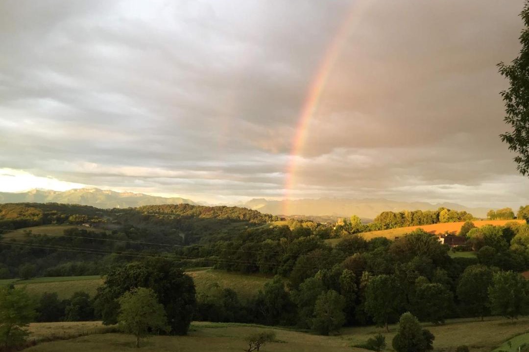 Photo of Others in Gelos