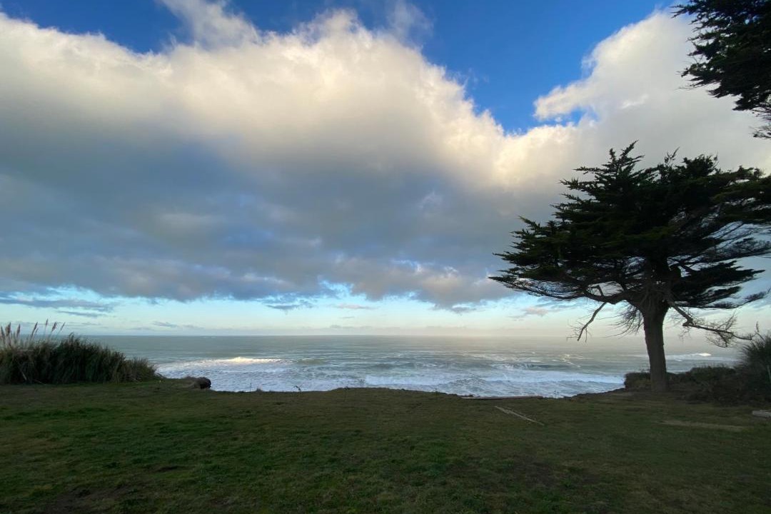 Photo of Others in Gold Beach