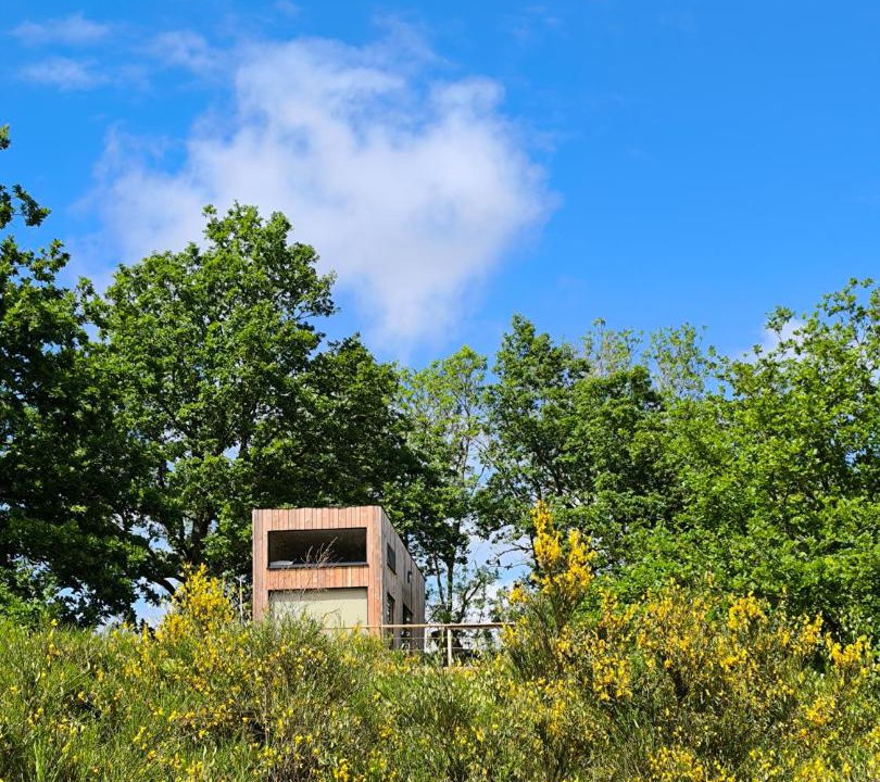 Photo of Others in Cros