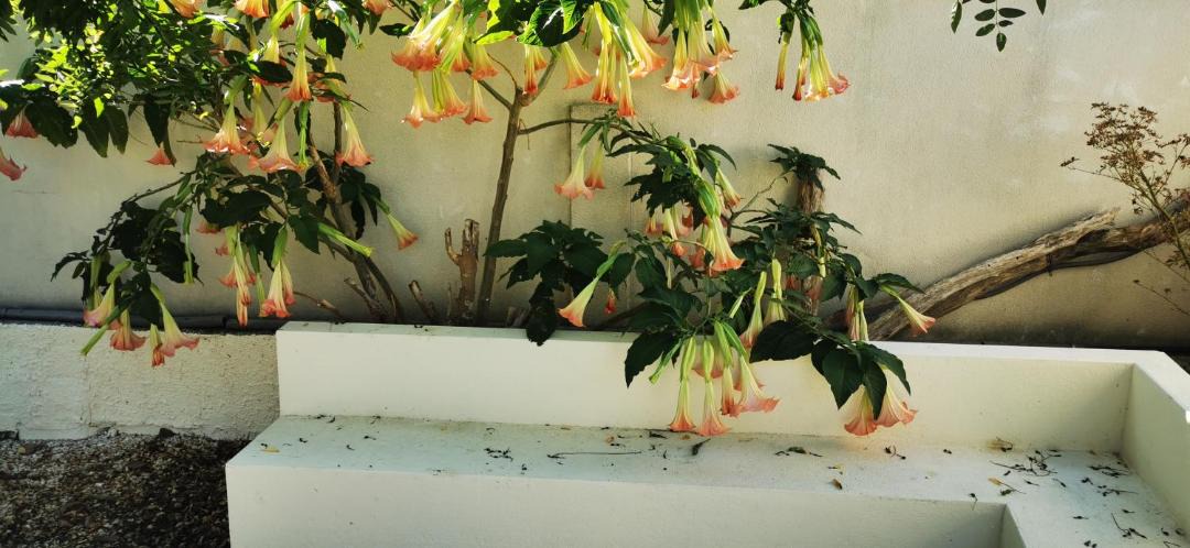 Photo of Others in Marcorignan