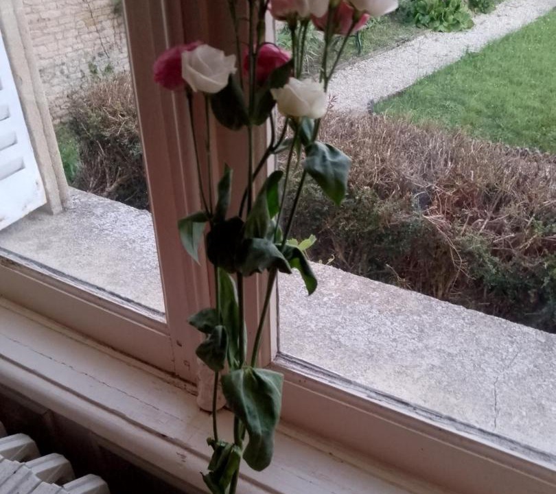 Photo of Others in Coulonces