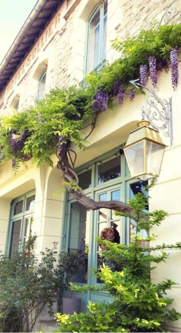 Photo of Others in Sainte-Croix