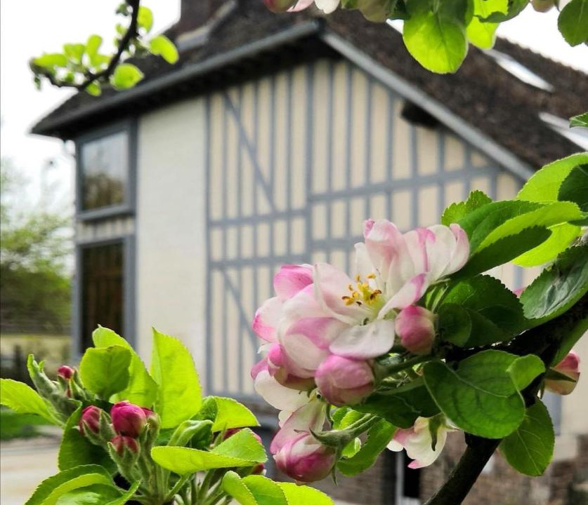 Photo of Others in Dosches