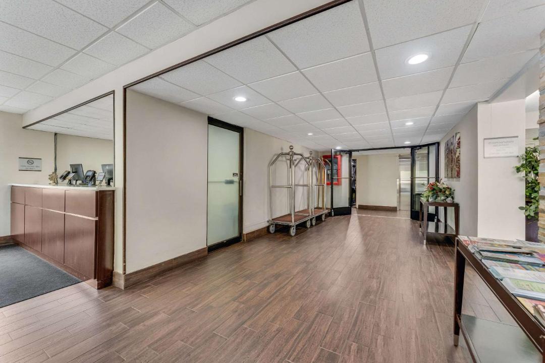 Photo of Others in Palmer