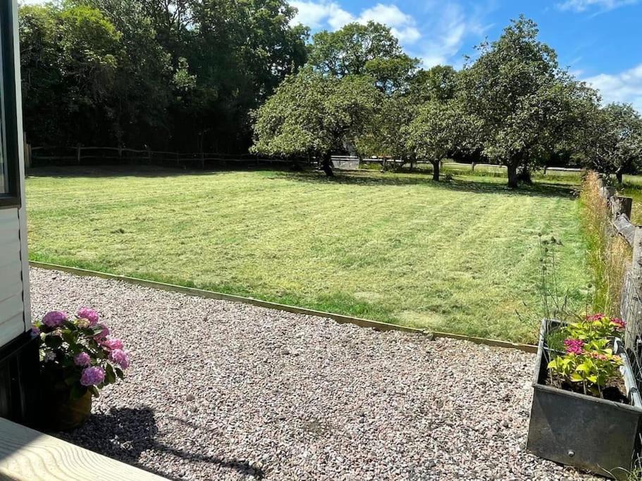 Photo of Others in East Grinstead