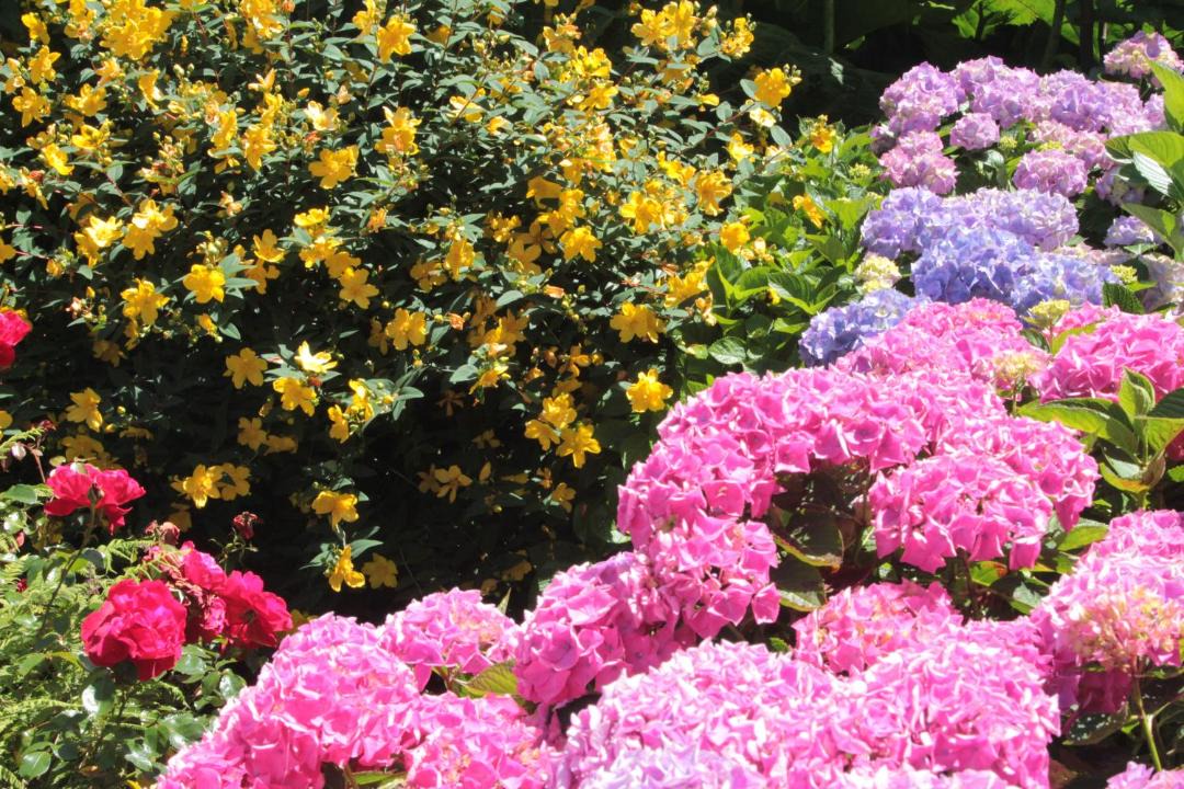 Photo of Others in Guiclan