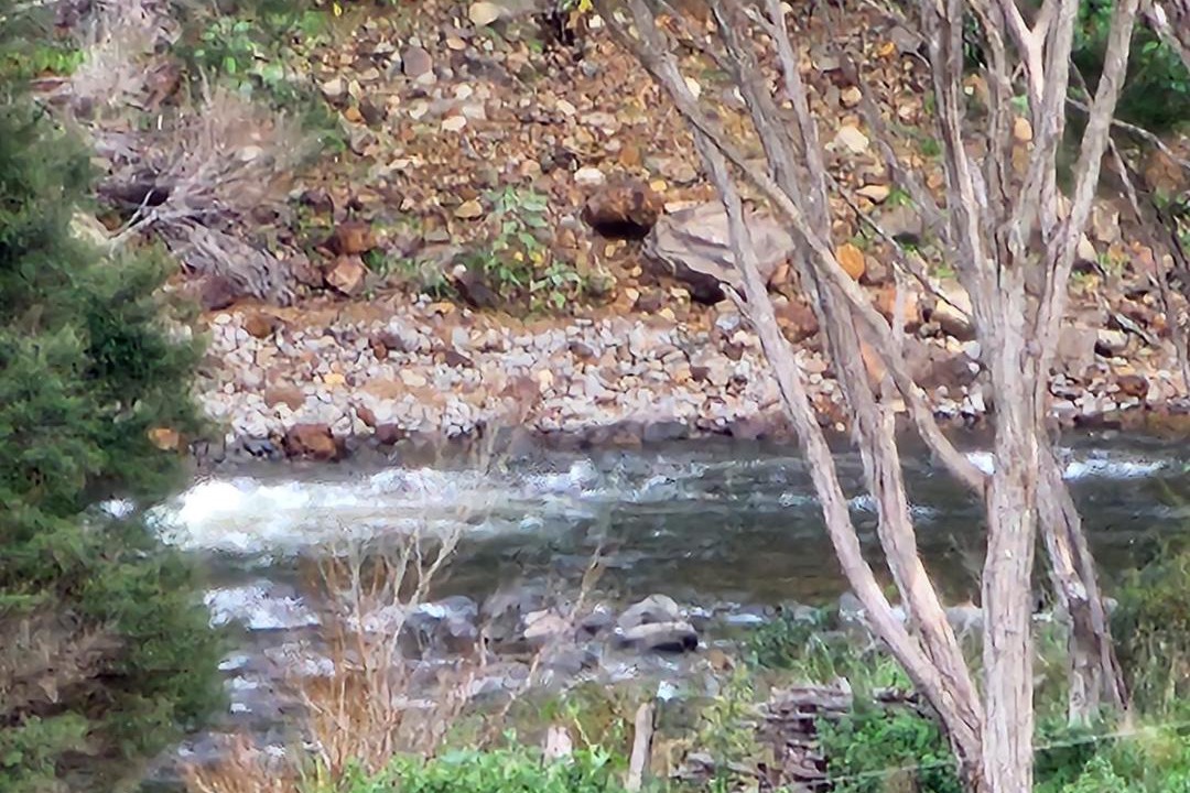 Photo of Others in Thames